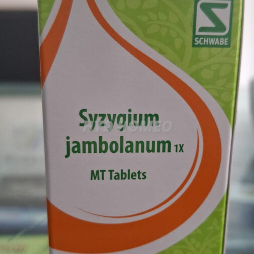 Willmar Schwabe India Syzgium Jambolanum 1X Tablets (20g)