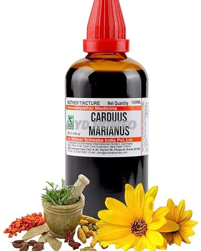 Med-40 Schwabe Carduus Marianus Mother Tincture Q 100ml - Orignal_Extract Homeopathy