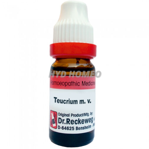 Dr. Reckeweg Teucrum M.V.