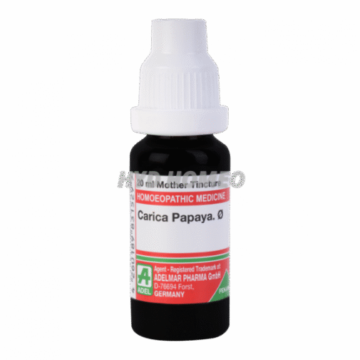 ADEL Carica Papaya Ø