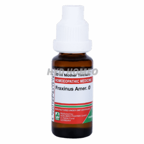 ADEL Fraxinus Amer Ø