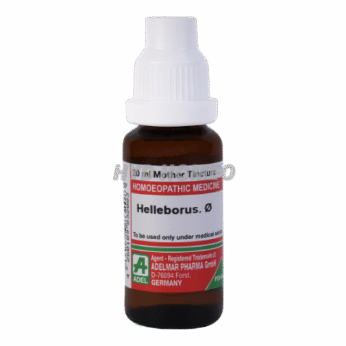 ADEL Helleborus Ø