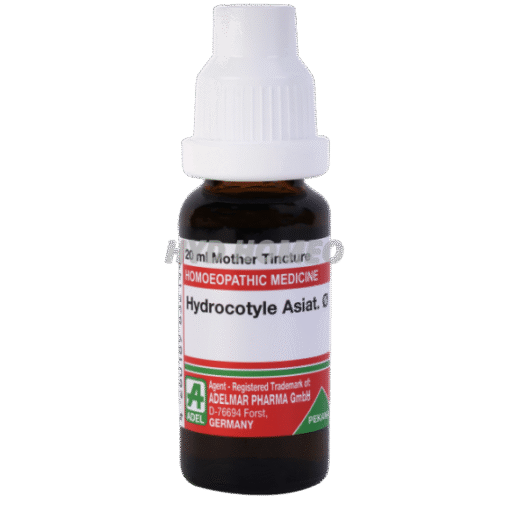 ADEL Hydrocotyle Asiat Ø