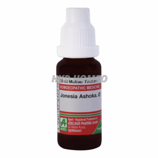 ADEL Jonesia Ashoka Ø