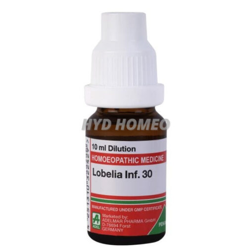 Lobelia Inf