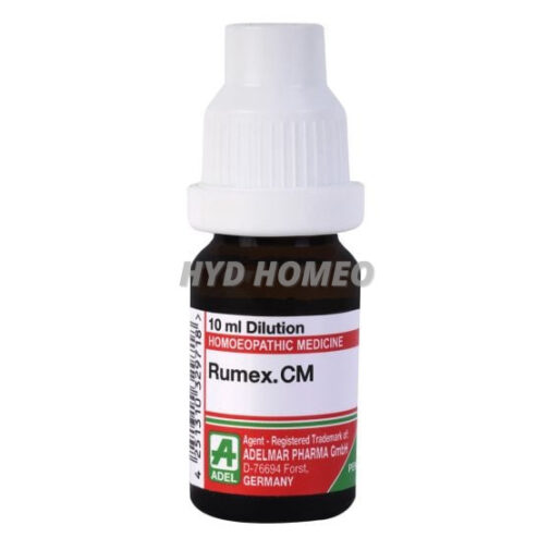 Rumex