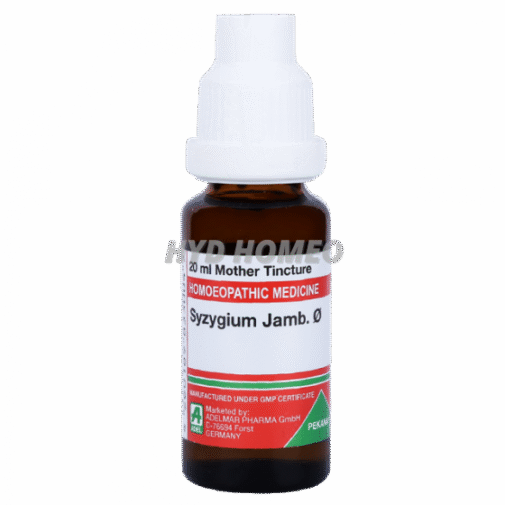 ADEL Syzygium Jamb Ø