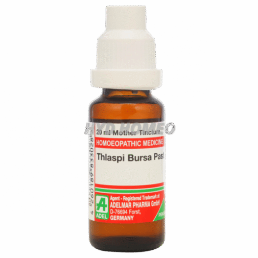 ADEL Thlaspi Bursa Past Ø