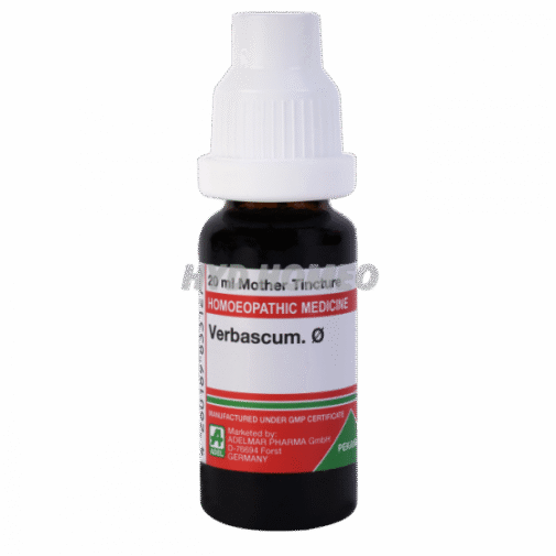ADEL Verbascum Ø