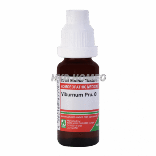 ADEL Viburnum Pru Ø