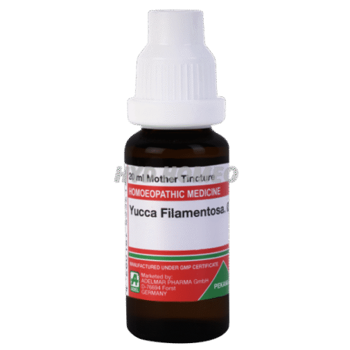 ADEL Yucca Filamentosa Ø